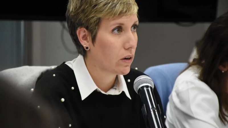 "Todos tienen derecho de participar": Latorre sobre la audiencia pública por San Jorge en Uspallata
